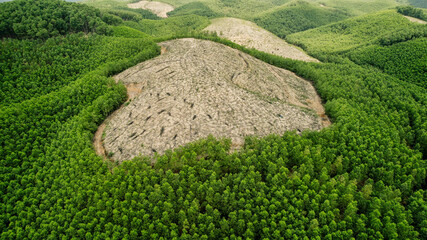 Aerial view of deforestation, contrasting bare and forested land, suitable for environmental...
