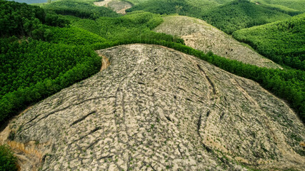 Aerial view of deforestation, contrasting bare and forested land, suitable for environmental...