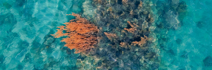 Aerial view of a vibrant coral reef submerged in turquoise ocean waters, ideal for themes of marine...