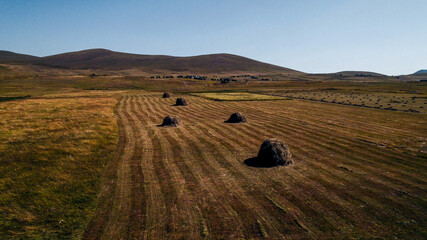 Obraz premium Rural landscape with round hay bales on a harvested field during autumn, related to agriculture and Thanksgiving concepts