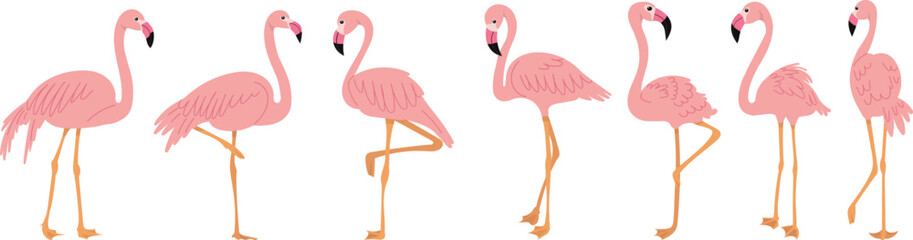 flamingo set in flat style on white background vector