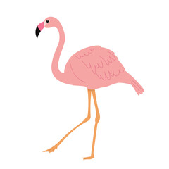Fototapeta premium pink flamingo in flat style on white background vector