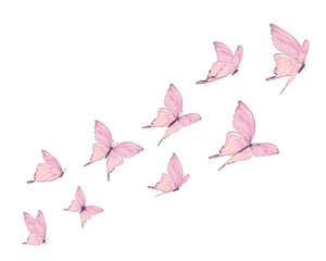 ink butterfly flock hand drawn design vector	