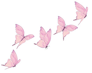 pink butterfly flock hand drawn design vector