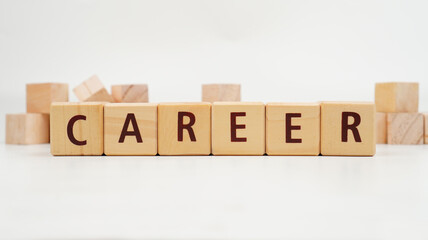 Career job concept on wooden blocks isolated transparent