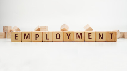 Employment job concept on wooden blocks isolated transparent