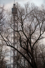 Sempione park in Milan at December