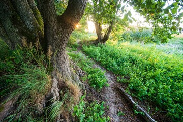 Beautiful shot of a green landscape during the day