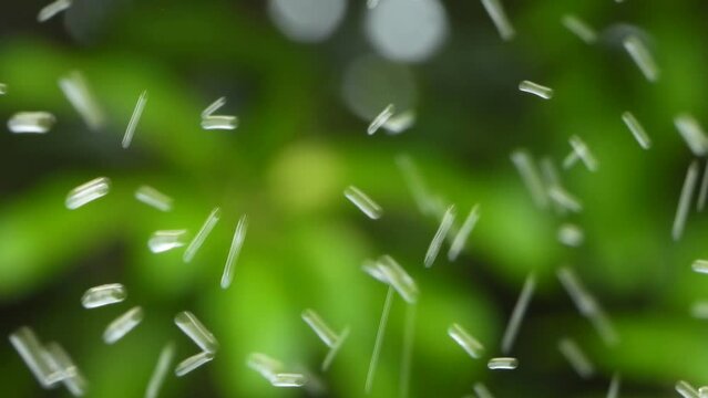 Water drops flow . gren .