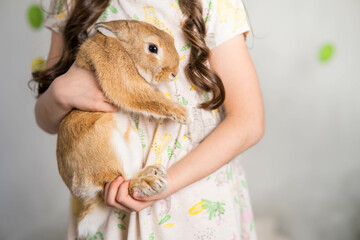 Young girl with adorable rabbit indoors, closeup. Lovely pet