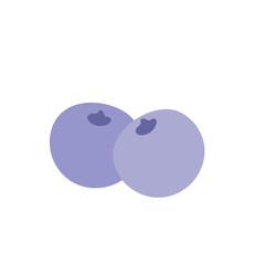 blueberry vector icon