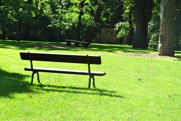 Beautiful view of a bench in the park