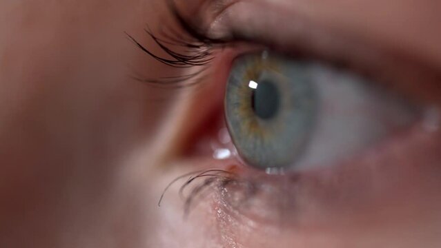 Close-up macro eye open human iris. blinking eye. beautiful blue eyes. healthy eyesight. awareness