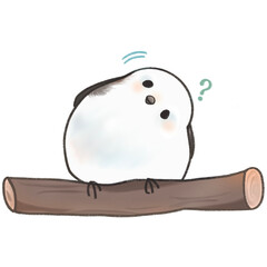 A cute bird tilts its head