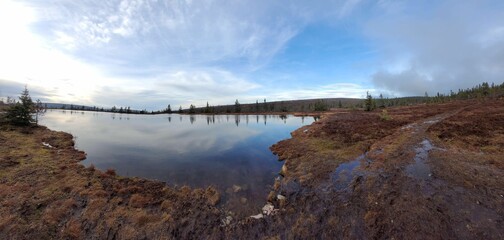 Natural landscape of the swamp with pine trees and blue sky reflected in the water.
