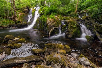 Fototapeta premium Beautiful flowing stream and waterfall in a mossy forest