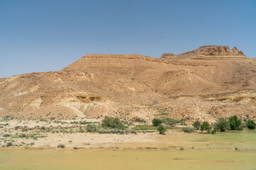Dahar, southern Tunisia, turns green after the rains