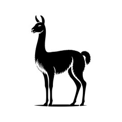 Highland Grace: Vector Vicuña Silhouette, Symbol of Elegance and Alpine Majesty- Minimalist Vicuna Vector- Vicuna Illustration.