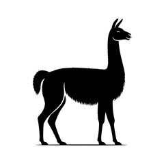 Highland Grace: Vector Vicuña Silhouette, Symbol of Elegance and Alpine Majesty- Minimalist Vicuna Vector- Vicuna Illustration.