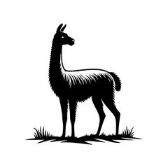 Fototapeta premium Highland Grace: Vector Vicuña Silhouette, Symbol of Elegance and Alpine Majesty- Minimalist Vicuna Vector- Vicuna Illustration.