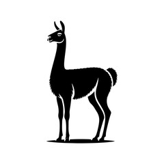 Highland Grace: Vector Vicuña Silhouette, Symbol of Elegance and Alpine Majesty- Minimalist Vicuna Vector- Vicuna Illustration.