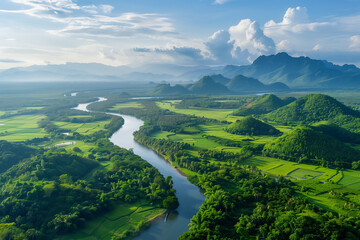 Aerial view of river tropical green forest southeast asia