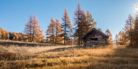Panorama von einem Holzhaus in einer herrlichen morgendlichen Herbstlandschaft 