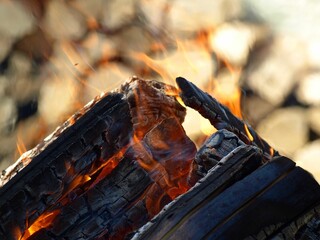 Close-up shot of fire flames of burning wood