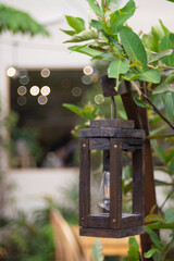  very table you sit at there are pots of lush green vegetables. This creates a feeling of intimacy and makes your date more enjoyable. You can enjoy not only delicious coffee 