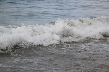 olas