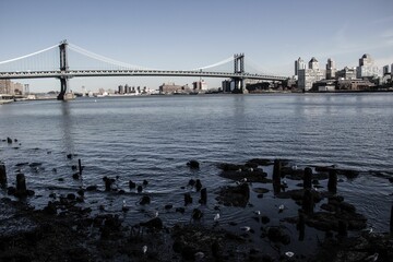 Skyline of the city and a bridge on a sunny morning