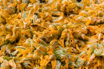 Bright yellow squash blossoms - perfect for wallpapers