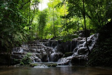 Fototapeta premium Beautiful landscape of a waterfall in a jungle