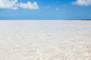Minimalistic view of the white sandy sea shore on the background of the bright blue sky