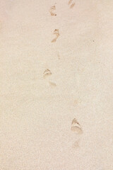  background of footprint at the fine beach sand