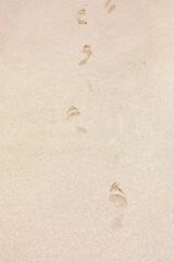  background of footprint at the fine beach sand