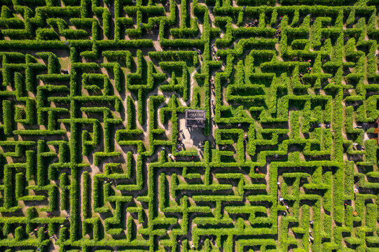 Aerial view of people trying to find exit in a labyrinth garden at sunny day - Powered by Adobe