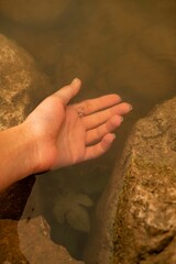 Vertical shot of a hand of a person in the waters of a pond with wet rocks