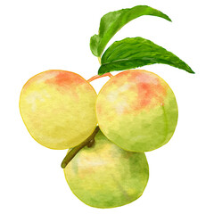 リアルな梅の実3個葉付き