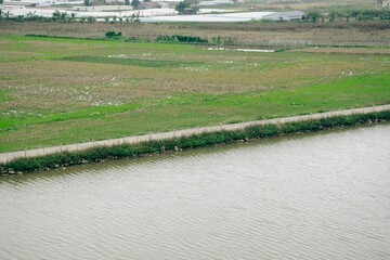 River surrounded by grass