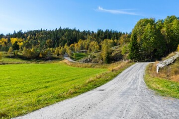 Dusty path through a green field leading to a thick forest, clear, sunlit sky background