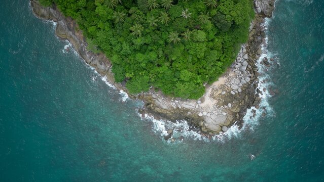 Aerial view of a beach with trees and ocean water