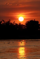 a large sun is setting over water and the trees are reflected in it