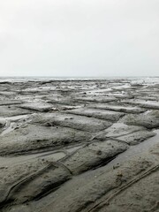 Vertical shot of a mud land under a misty sky