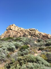Vertical shot of rock formations and green vegetation under a blue sky