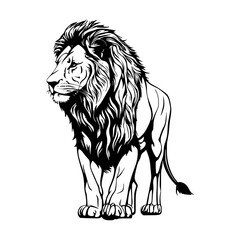 Obraz premium Black and white vector of a majestic lion against a plain white background