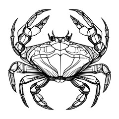 Vector illustration of a crab on a plain white background