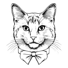 Black and white vector illustration of a fun and stylish feline wearing a bow tie