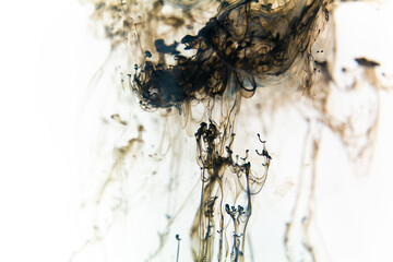 Black ink swirls forming delicate patterns as they diffuse elegantly through clear water,...