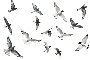 Bunch of birds in a flock flying over a white backdrop. Generative Ai